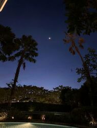 stars-of-kovan photo thumbnail #11